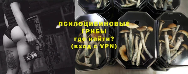 ПСИЛОЦИБИНОВЫЕ ГРИБЫ Абаза