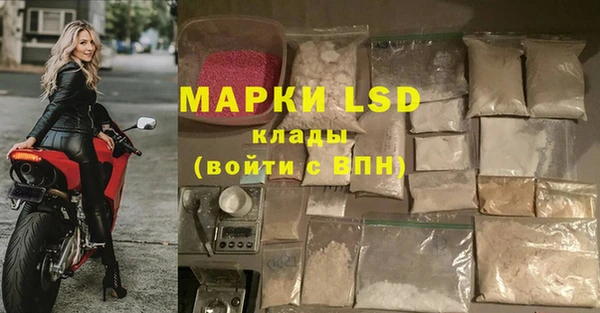 ПСИЛОЦИБИНОВЫЕ ГРИБЫ Абаза