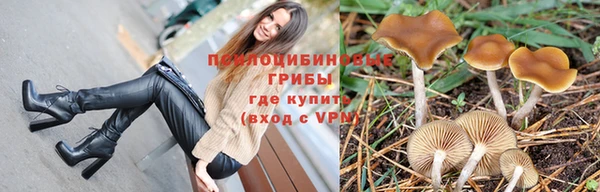 ПСИЛОЦИБИНОВЫЕ ГРИБЫ Абаза
